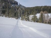 German Mountain Range: Winter Landscape