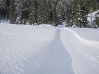 German Mountain Range: Winter Landscape