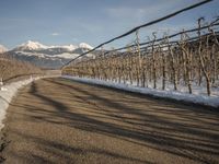 this rural country road has some skis hanging over it and there are snow on the ground