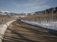 this rural country road has some skis hanging over it and there are snow on the ground