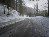 German Mountains: Snow-Covered Trees in Winter