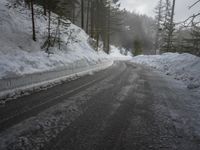 German Mountains: Snow-Covered Trees in Winter