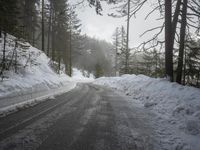 German Mountains: Snow-Covered Trees in Winter