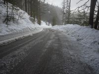 German Mountains: Snow-Covered Trees in Winter