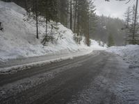 German Mountains: Snow-Covered Trees in Winter