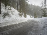 German Mountains: Snow-Covered Trees in Winter