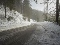 German Mountains: Snow-Covered Trees in Winter
