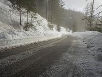 German Mountains: Snow-Covered Trees in Winter