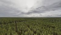 an aerial view of the landscape under grey skies and clouds with trees and farms across a farm land