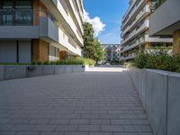 walkway between two apartment blocks with a flower bed in the foreground and several green plants on each side of each