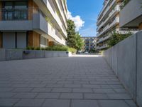 walkway between two apartment blocks with a flower bed in the foreground and several green plants on each side of each