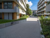 walkway between two apartment blocks with a flower bed in the foreground and several green plants on each side of each