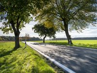 German Road: Asphalt Through a Field of Clouds