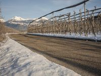 German Road: Asphalt Through Mountain Scenery