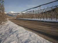 German Road: Asphalt Through Mountain Scenery