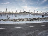 road next to vineyard with snowy field in background and mountains on opposite side under sky
