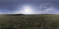 an image of an oval panorama of a field with grass and clouds in the sky
