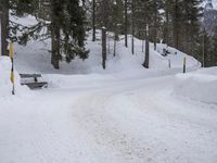German Rural Landscape: Snowy Mountain Range