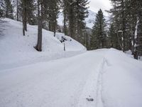 German Rural Landscape: Snowy Mountain Range