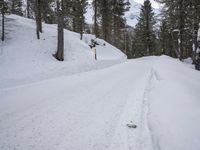 German Rural Landscape: Snowy Mountain Range