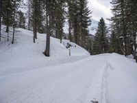 German Rural Landscape: Snowy Mountain Range