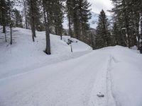 German Rural Landscape: Snowy Mountain Range