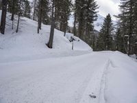 German Rural Landscape: Snowy Mountain Range