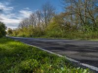 German Rural Road: Asphalt and Tree