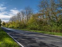 German Rural Road: Asphalt and Tree