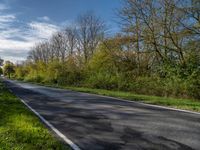 German Rural Road: Asphalt and Tree