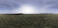 an image of an empty field on a sunny day by the water shore line and a clock tower in the distance