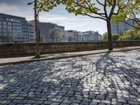 German Town with Cobblestone Road and Tree-lined Streets