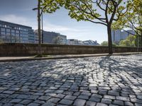 German Town with Cobble Stone Road and Tree Lined