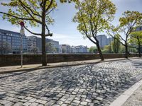 German Town with Cobble Stone Road and Tree Lined