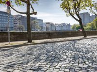 German Town with Cobble Stone Road and Tree Lined