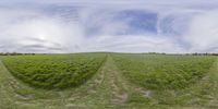 a view of an open field from a low angle fish eye lens with no people in the distance