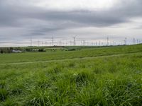 German Windmills: Overlooking Fields and a Cloudy Horizon