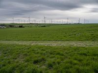 German Windmills: Overlooking Fields and a Cloudy Horizon