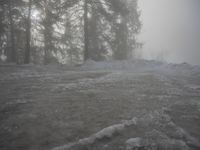 German Winter Forest in the Alps