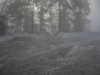 German Winter Forest in the Alps