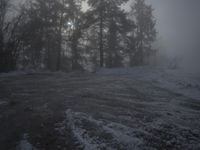 German Winter Forest in the Alps