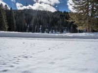 German Winter Landscape: Snow-Capped Mountains and Road