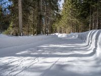 snowboarder wearing skis and riding along a snowy road lined with trees in the woods