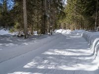 snowboarder wearing skis and riding along a snowy road lined with trees in the woods