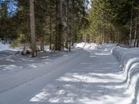 snowboarder wearing skis and riding along a snowy road lined with trees in the woods