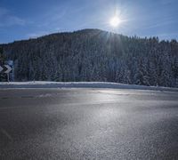 a snow covered mountain sitting over a forest with snow covering it's branches and trees