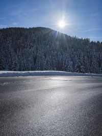 a snow covered mountain sitting over a forest with snow covering it's branches and trees