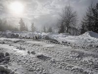 German Winter Landscape at Sunrise in the Alps