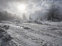 German Winter Landscape at Sunrise in the Alps