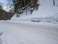a snow - covered road in the middle of some trees and a snowy hill side